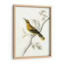 Aviario Rústico Ii - Naomi McCavitt | Cuadro decorativo de Canvas Lab