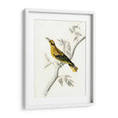 Aviario Rústico Ii - Naomi McCavitt | Cuadro decorativo de Canvas Lab