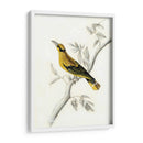 Aviario Rústico Ii - Naomi McCavitt | Cuadro decorativo de Canvas Lab