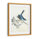 Aviario Rústico Iii - Naomi McCavitt | Cuadro decorativo de Canvas Lab