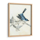 Aviario Rústico Iii - Naomi McCavitt | Cuadro decorativo de Canvas Lab