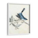 Aviario Rústico Iii - Naomi McCavitt | Cuadro decorativo de Canvas Lab