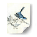 Aviario Rústico Iii - Naomi McCavitt | Cuadro decorativo de Canvas Lab