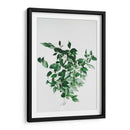 Composición de hojas sobre fondo blanco | Cuadro decorativo de Canvas Lab