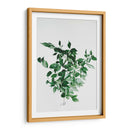 Composición de hojas sobre fondo blanco | Cuadro decorativo de Canvas Lab