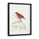 Aviaria Rústica Iv - Naomi McCavitt | Cuadro decorativo de Canvas Lab