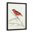 Aviaria Rústica Iv - Naomi McCavitt | Cuadro decorativo de Canvas Lab
