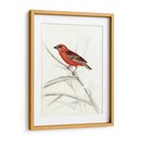 Aviaria Rústica Iv - Naomi McCavitt | Cuadro decorativo de Canvas Lab