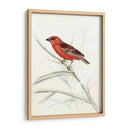 Aviaria Rústica Iv - Naomi McCavitt | Cuadro decorativo de Canvas Lab
