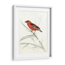 Aviaria Rústica Iv - Naomi McCavitt | Cuadro decorativo de Canvas Lab