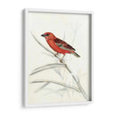 Aviaria Rústica Iv - Naomi McCavitt | Cuadro decorativo de Canvas Lab