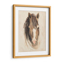 Estudio Animal De Acuarela V - Grace Popp | Cuadro decorativo de Canvas Lab