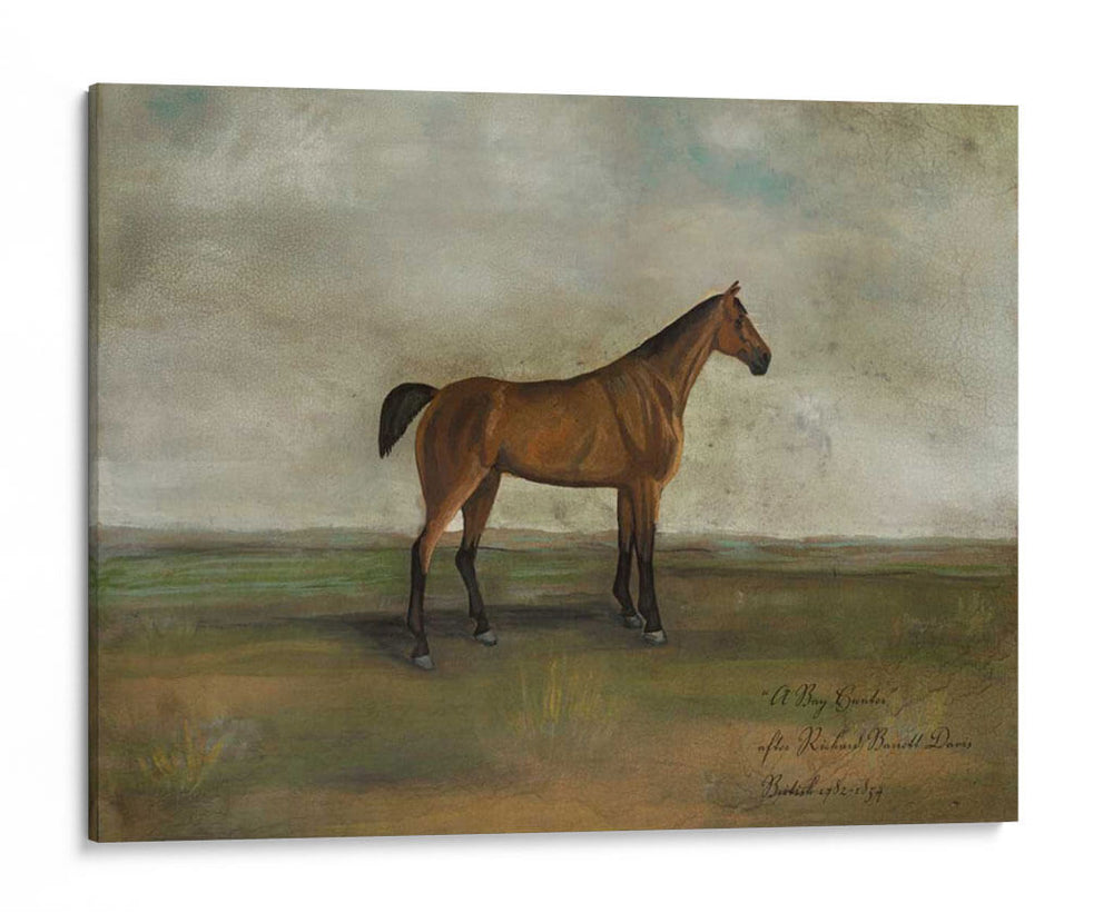 Un Cazador De Bahías - Naomi McCavitt | Cuadro decorativo de Canvas Lab