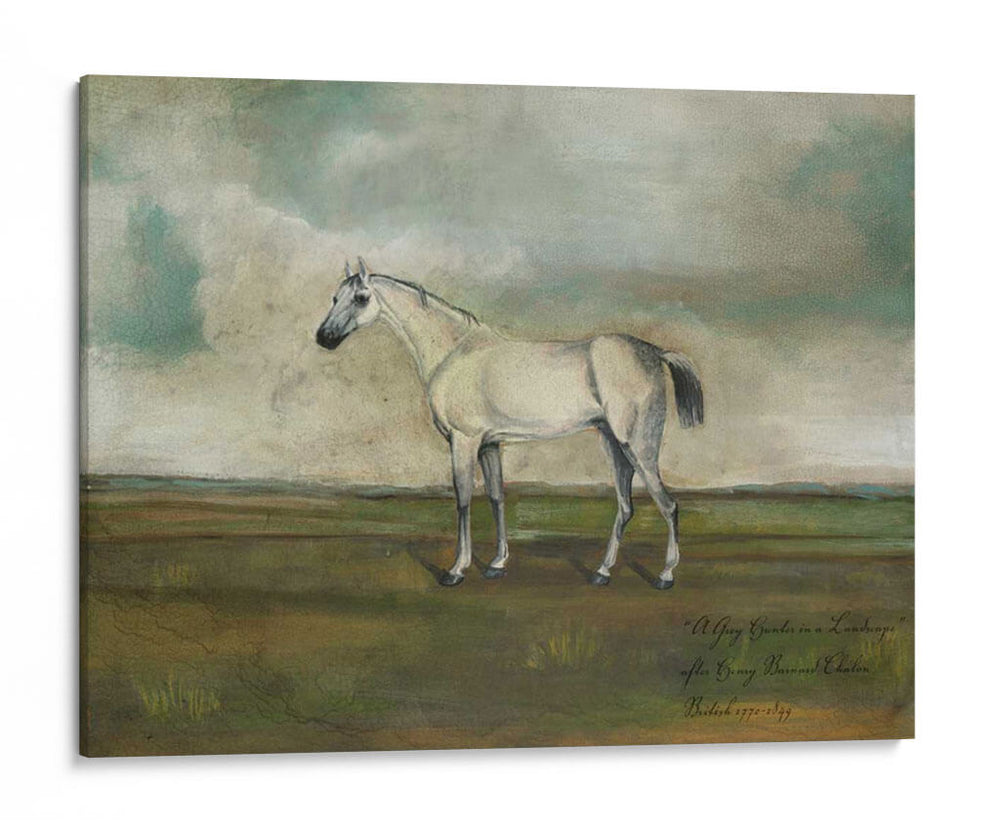 Un Cazador Gris En Un Paisaje. - Naomi McCavitt | Cuadro decorativo de Canvas Lab