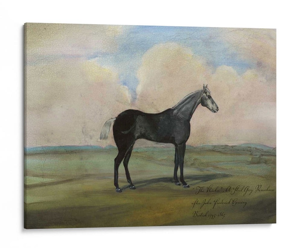 El Kicker- Un Caballo De Carreras De Gris De Acero - Naomi McCavitt | Cuadro decorativo de Canvas Lab