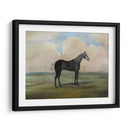 El Kicker- Un Caballo De Carreras De Gris De Acero - Naomi McCavitt | Cuadro decorativo de Canvas Lab