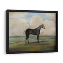 El Kicker- Un Caballo De Carreras De Gris De Acero - Naomi McCavitt | Cuadro decorativo de Canvas Lab