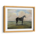 El Kicker- Un Caballo De Carreras De Gris De Acero - Naomi McCavitt | Cuadro decorativo de Canvas Lab