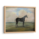 El Kicker- Un Caballo De Carreras De Gris De Acero - Naomi McCavitt | Cuadro decorativo de Canvas Lab