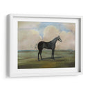 El Kicker- Un Caballo De Carreras De Gris De Acero - Naomi McCavitt | Cuadro decorativo de Canvas Lab