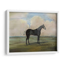 El Kicker- Un Caballo De Carreras De Gris De Acero - Naomi McCavitt | Cuadro decorativo de Canvas Lab