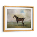 El Cazador Favorito Del Príncipe Rohans. - Naomi McCavitt | Cuadro decorativo de Canvas Lab