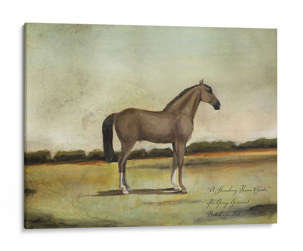 Un Cazador Roan De Fresa - Naomi McCavitt | Cuadro decorativo de Canvas Lab