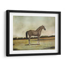 Un Cazador Roan De Fresa - Naomi McCavitt | Cuadro decorativo de Canvas Lab