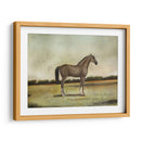 Un Cazador Roan De Fresa - Naomi McCavitt | Cuadro decorativo de Canvas Lab