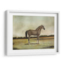 Un Cazador Roan De Fresa - Naomi McCavitt | Cuadro decorativo de Canvas Lab