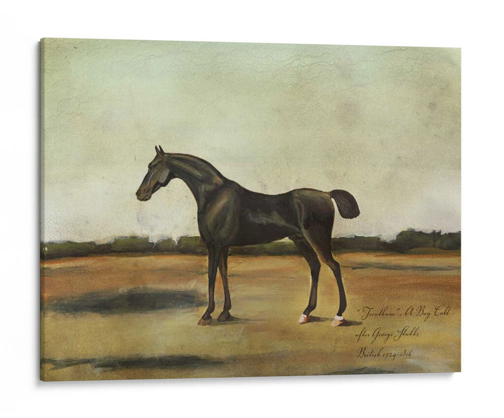 Trentham- A Bay Prot - Naomi McCavitt | Cuadro decorativo de Canvas Lab