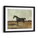 Trentham- A Bay Prot - Naomi McCavitt | Cuadro decorativo de Canvas Lab