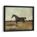 Trentham- A Bay Prot - Naomi McCavitt | Cuadro decorativo de Canvas Lab