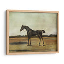 Trentham- A Bay Prot - Naomi McCavitt | Cuadro decorativo de Canvas Lab