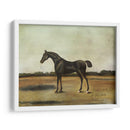 Trentham- A Bay Prot - Naomi McCavitt | Cuadro decorativo de Canvas Lab