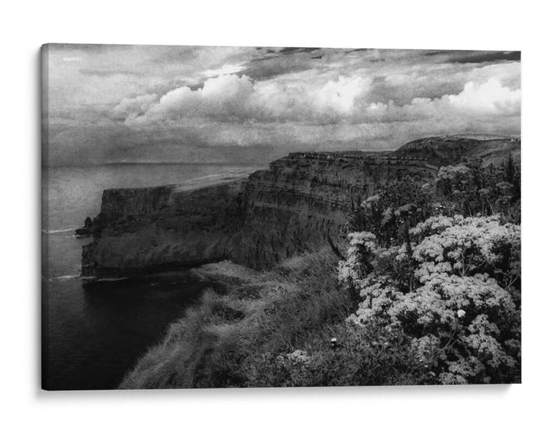 Vistas De Irlanda I - Richard James | Cuadro decorativo de Canvas Lab