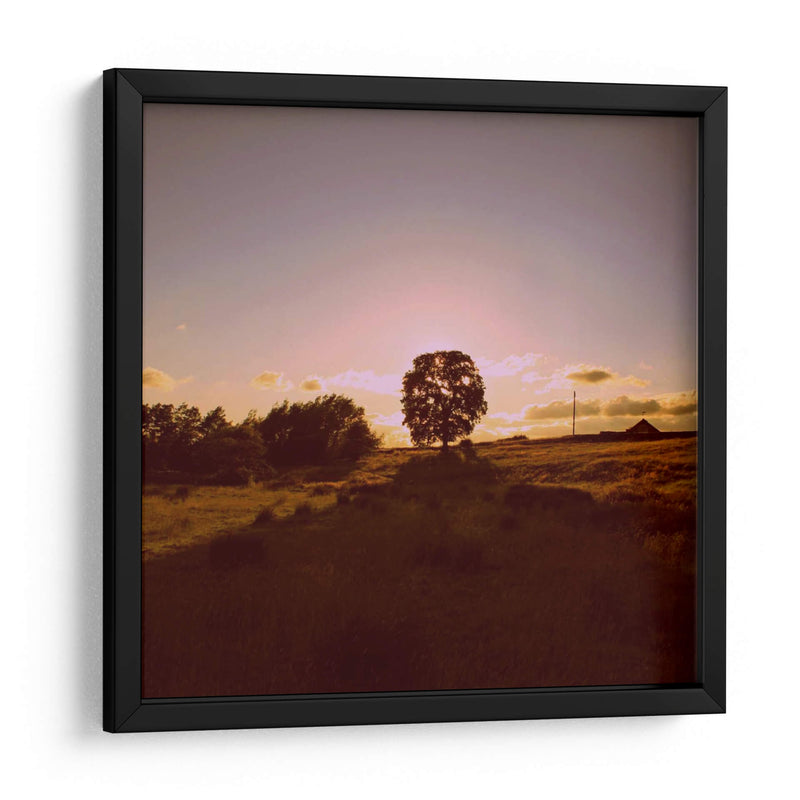 Puesta De Sol Field Ii - Lillian Bell | Cuadro decorativo de Canvas Lab