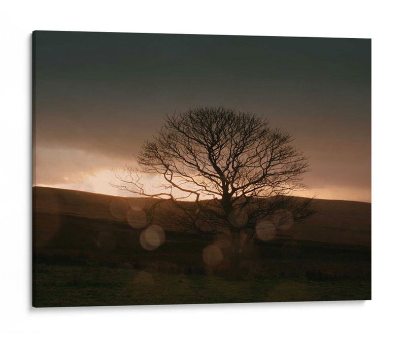 Tormentoso Sunset Ii - Lillian Bell | Cuadro decorativo de Canvas Lab