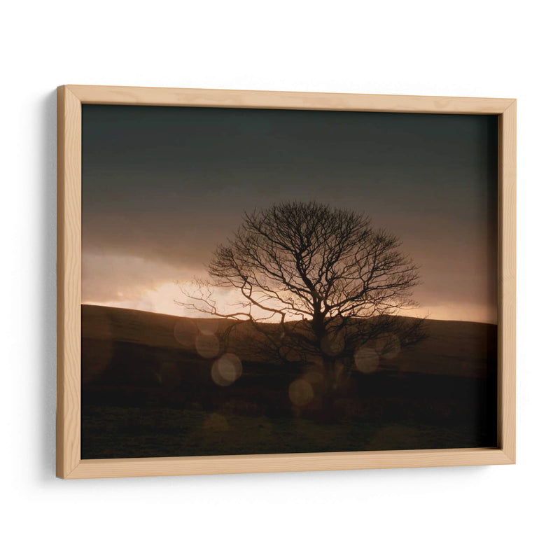 Tormentoso Sunset Ii - Lillian Bell | Cuadro decorativo de Canvas Lab