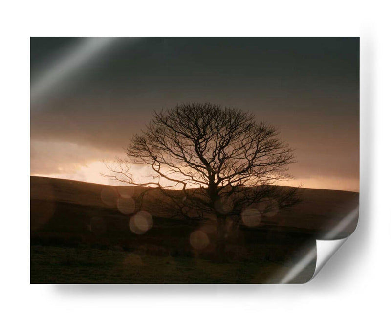 Tormentoso Sunset Ii - Lillian Bell | Cuadro decorativo de Canvas Lab