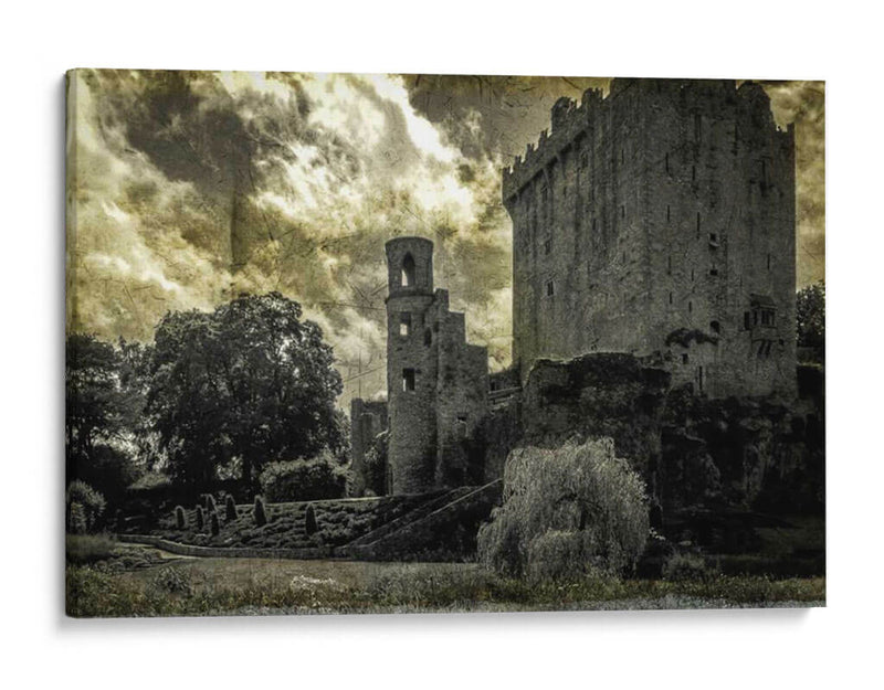 Vistas Del Castillo Irlandés Iii - Richard James | Cuadro decorativo de Canvas Lab