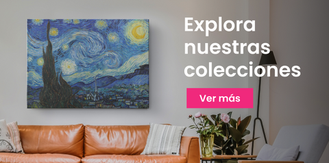 Explora nuestras colecciones