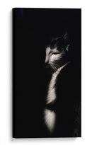 Felino misterioso | Cuadro decorativo de Canvas Lab