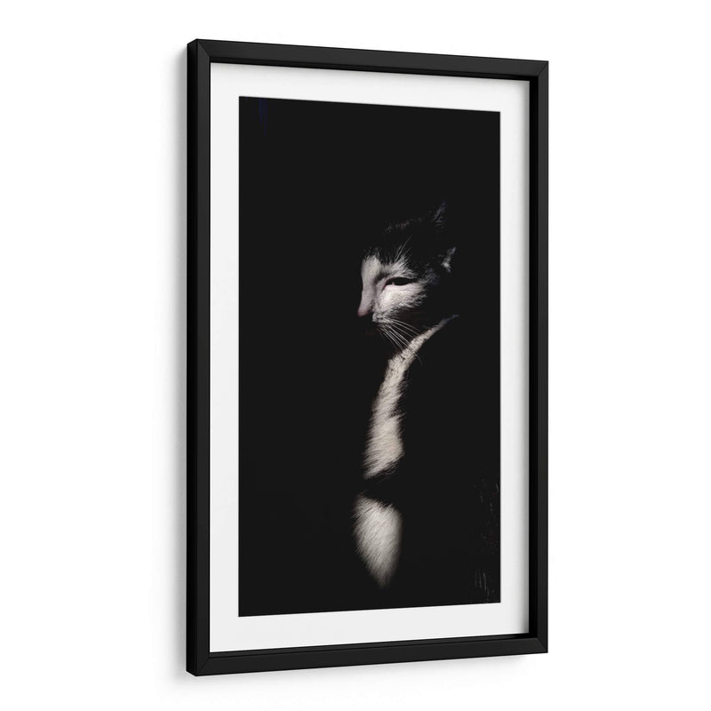 Felino misterioso | Cuadro decorativo de Canvas Lab