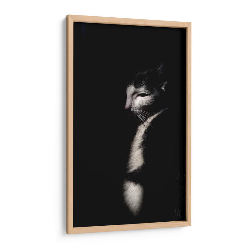 Felino misterioso | Cuadro decorativo de Canvas Lab