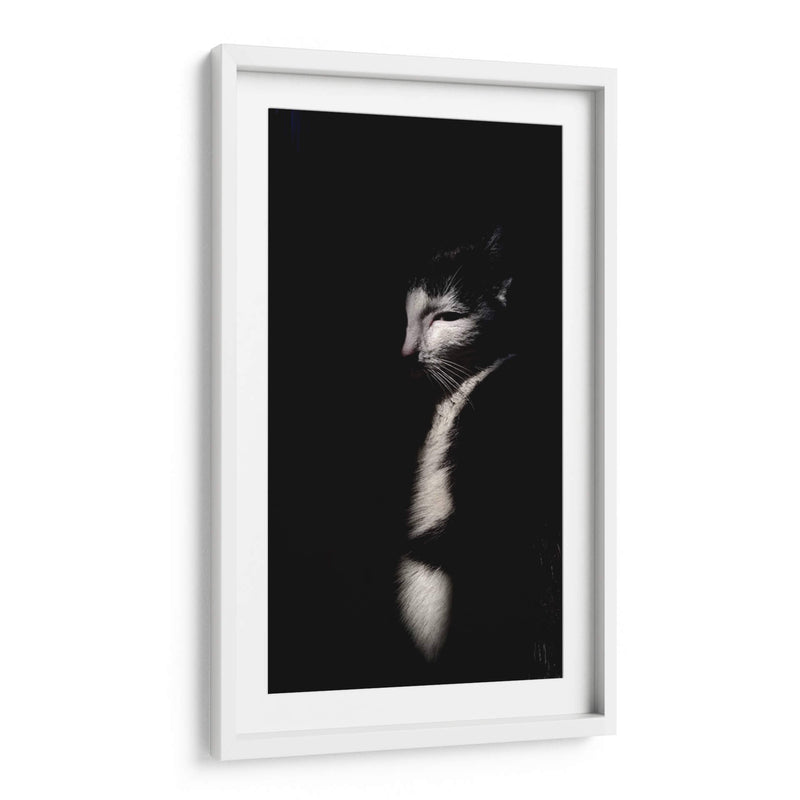 Felino misterioso | Cuadro decorativo de Canvas Lab