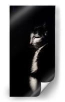 Felino misterioso | Cuadro decorativo de Canvas Lab