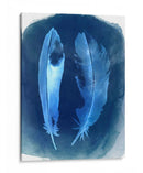 Negativas De Plumas I - Grace Popp | Cuadro decorativo de Canvas Lab