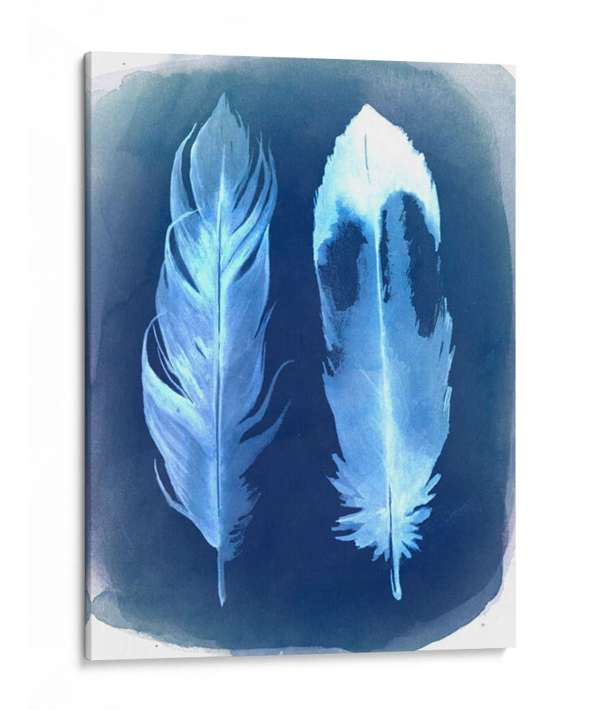 Negativos De Plumas Ii - Grace Popp | Cuadro decorativo de Canvas Lab