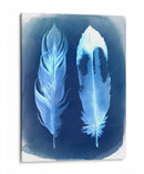 Negativos De Plumas Ii - Grace Popp | Cuadro decorativo de Canvas Lab